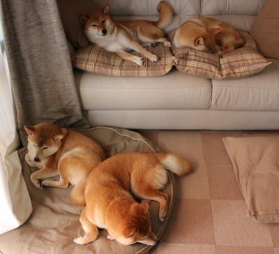 爱游戏官方主页-VALORANT 职业选手状态回升，valorant排位资格